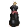 Rottweiler Glass Ornament – Old World Christmas
